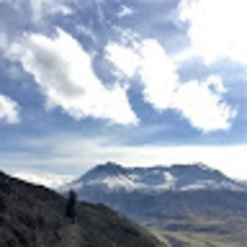 Meet your Posher, Stephhanie